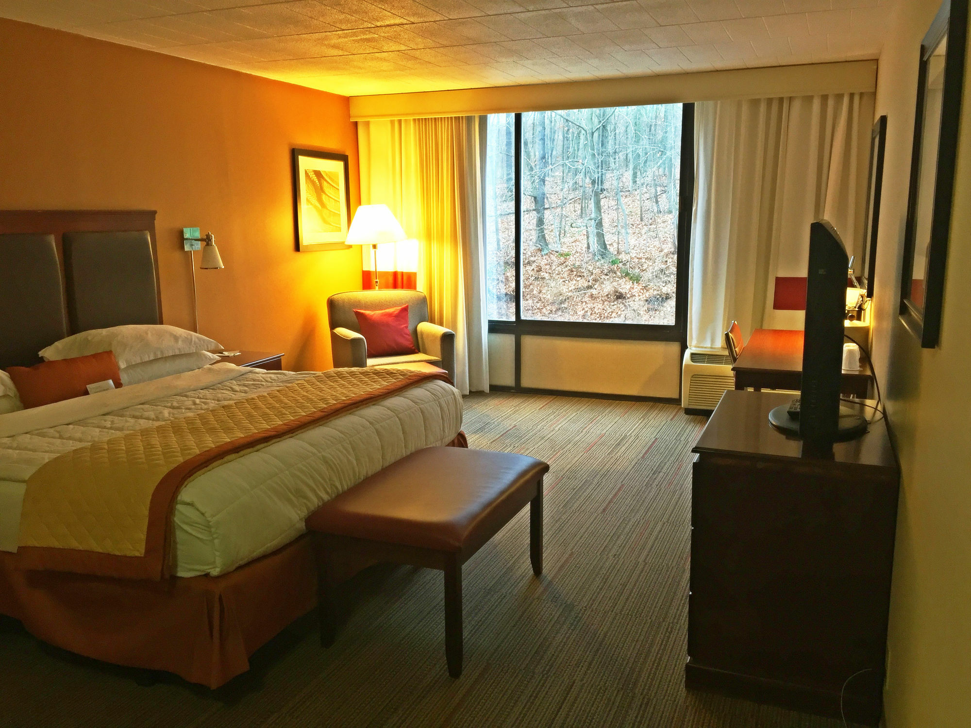 Wyndham Garden Inn Pittsburgh Airport Robinson Township المظهر الخارجي الصورة